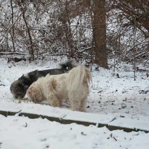 Meet your Posher, Alan